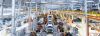 Lawyers Insolvency Law Germany