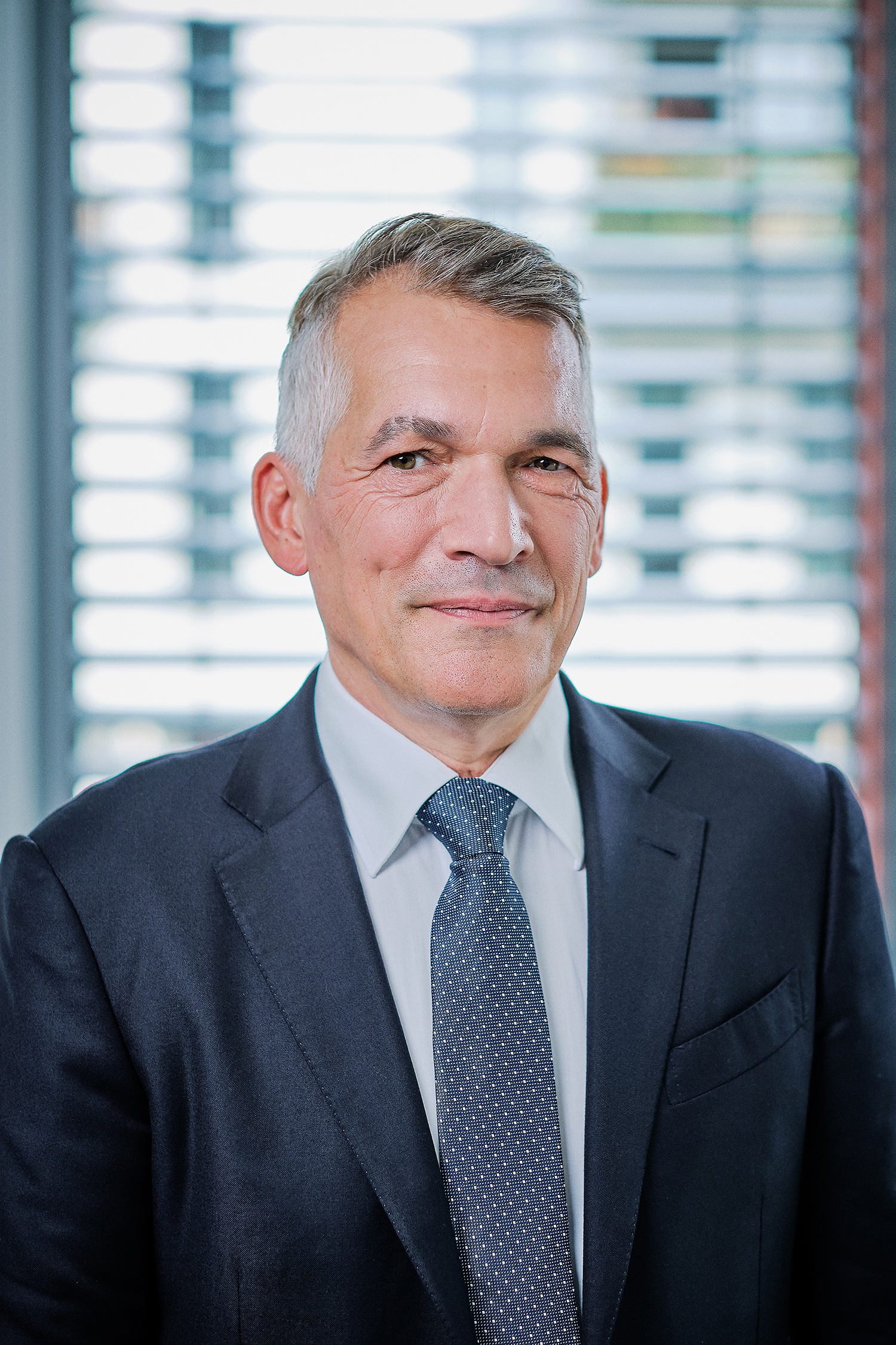 Lawyers Insolvency Law Germany