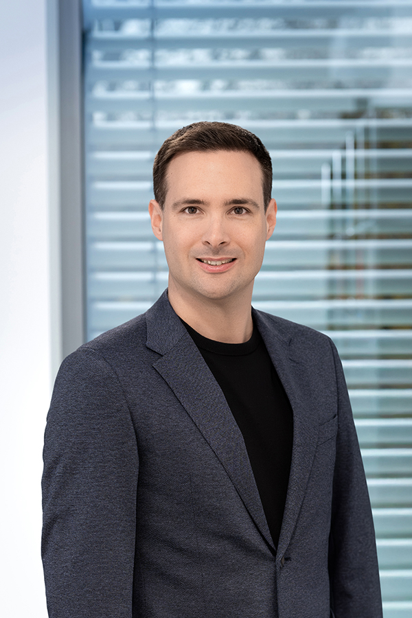 Lawyers Insolvency Law Germany